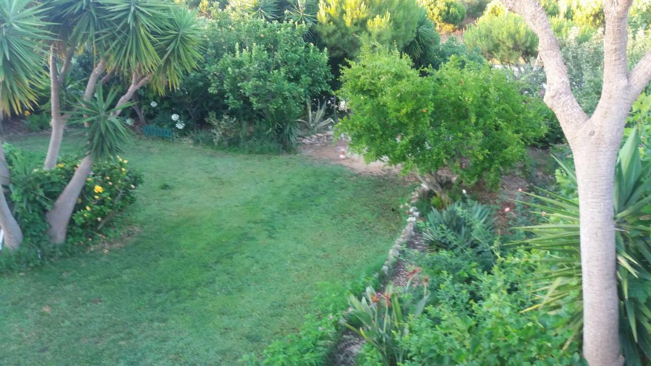 Av Fonte Coberta, Lagos, Villa Fonte Coberta Dış mekan fotoğraf